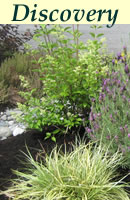 click for images click for images