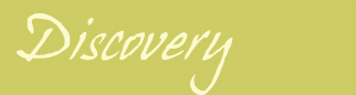Discovery